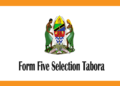 Form Five Selection 2025 Tabora