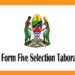 Form Five Selection 2025 Tabora