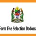 Form Five Selection Dodoma