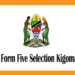 Form Five Selection Kigoma