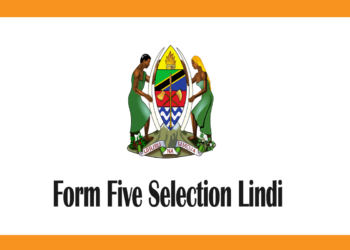 Form Five Selection Lindi