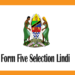 Form Five Selection Lindi