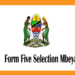 Waliochaguliwa Kidato cha Tano 2025 Mbeya – Form Five Selection 2025 Mbeya