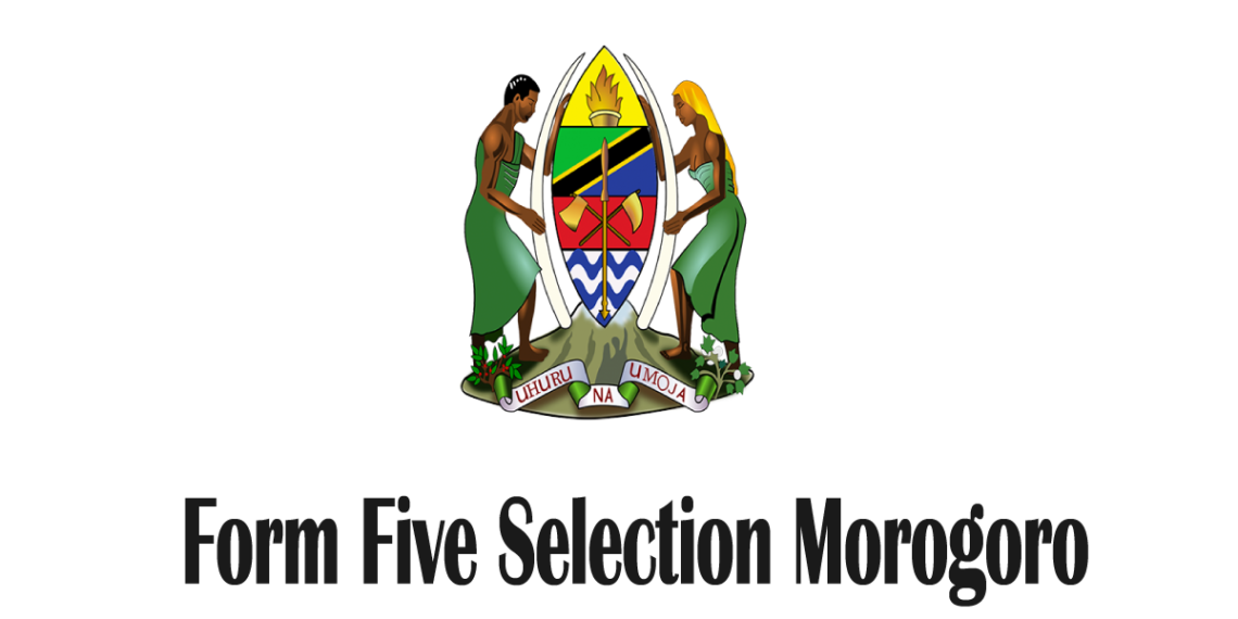Form Five Selection 2025 Morogoro