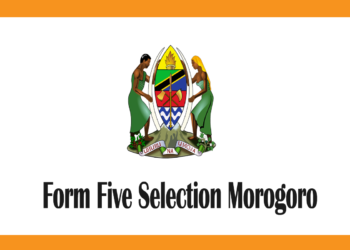 Form Five Selection 2025 Morogoro