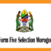 Form Five Selection 2025 Morogoro