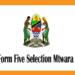 Form Five Selection Mtwara