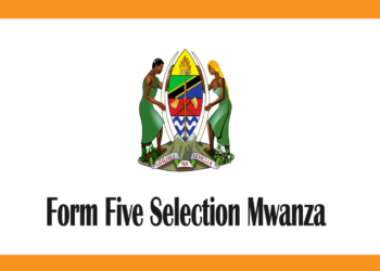 Form Five Selection Mwanza