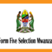Form Five Selection Mwanza