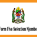 Form Five Selection Njombe