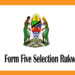 Form Five Selection Rukwa