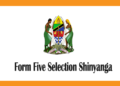 Form Five Selection Shinyanga