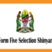 Form Five Selection Shinyanga