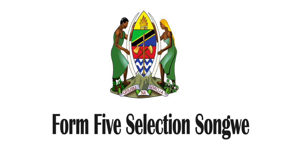 Form Five Selection 2025 Songwe