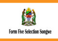 Form Five Selection 2025 Songwe