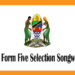 Form Five Selection 2025 Songwe