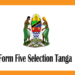 Waliochaguliwa Kidato cha Tano 2025 Tanga – Form Five Selection 2025 Tanga