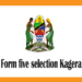 Waliochaguliwa kidato cha tano 2025 Kagera – Form five selection Kagera 2025