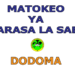 Matokeo ya Darasa la Saba 2025 Dodoma