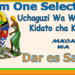 Form One Selection Dar es Salaam