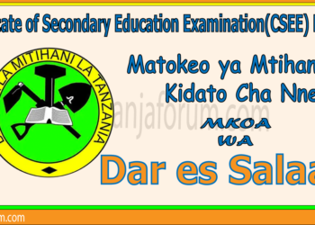 Matokeo ya Kidato Cha Nne 2025 Dar es Salaam