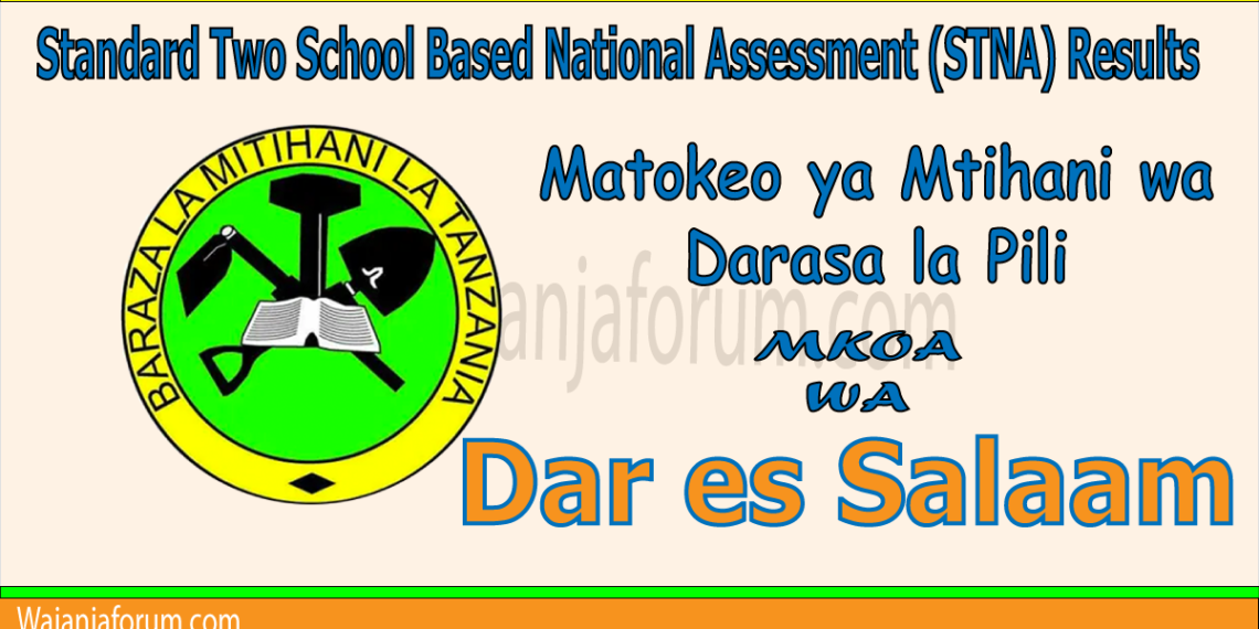 Matokeo ya Darasa la Pili (STNA) 2025 Dar es Salaam