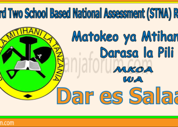 Matokeo ya Darasa la Pili (STNA) 2025 Dar es Salaam