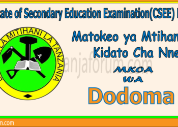 Matokeo ya Kidato Cha Nne 2025 Dodoma
