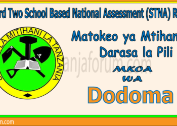 Matokeo ya Darasa la Pili (STNA) 2025 Dodoma