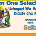 Form One Selection Geita