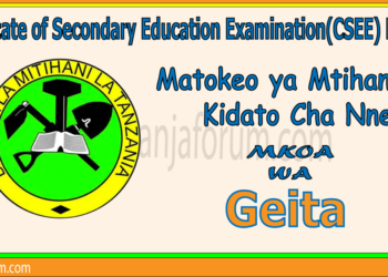 Matokeo ya Kidato Cha Nne 2025 Geita