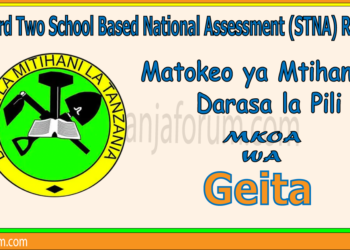 Matokeo ya Darasa la Pili (STNA) 2025 Mkoa wa Geita