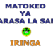 Matokeo ya Darasa la Saba 2025 Iringa