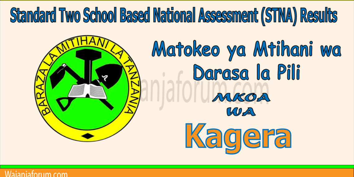 Matokeo ya Darasa la Pili (STNA) 2025 Mkoa wa Kagera