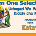 Form One Selection Katavi