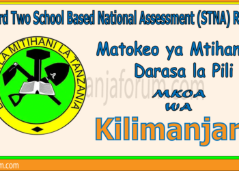 Matokeo ya Darasa la Pili (STNA) 2025 Kilimanjaro
