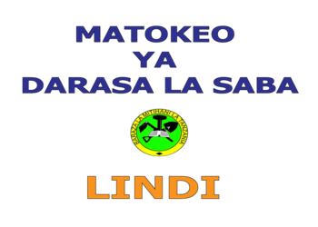 Matokeo ya Darasa la Saba 2025 Lindi