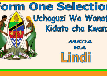 Form One Selection Lindi