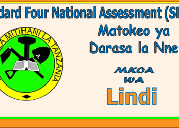 Matokeo ya Darasa la Nne (Mkoa wa Lindi)