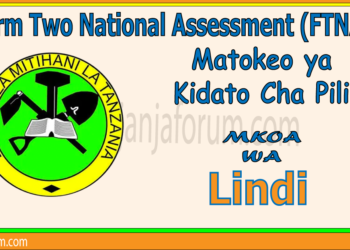 Matokeo ya Kidato Cha Pili (Mkoa wa Lindi)