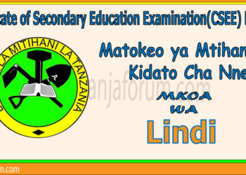 Matokeo ya Kidato Cha Nne 2025 Lindi