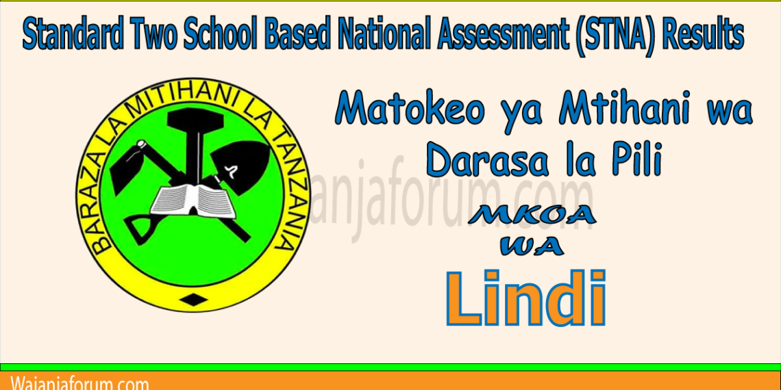 Matokeo ya Darasa la Pili (STNA) 2025 Mkoa wa Lindi