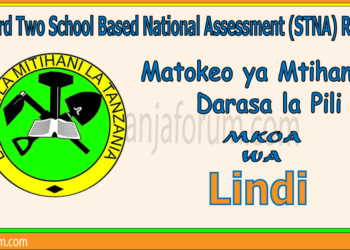 Matokeo ya Darasa la Pili (STNA) 2025 Mkoa wa Lindi
