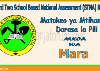 Matokeo ya Darasa la Pili (STNA) 2025 Mkoa wa Mara