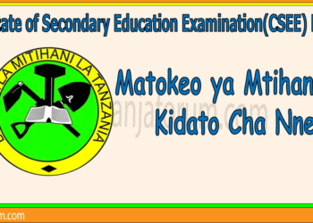 Certificate of Secondary Education Examination (CSEE), Matokeo Ya Mtihani Wa Kidato Cha Nne