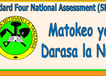 Matokeo ya Darasa la Nne 2025/2026 (NECTA SFNA Results)