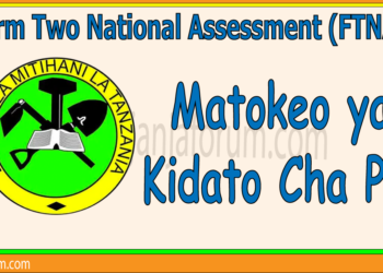 Matokeo ya Kidato Cha Pili 2025 /2026 (NECTA FTNA Results)