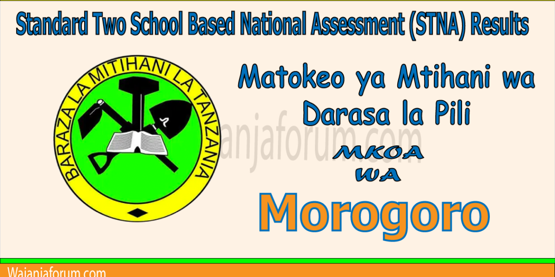 Matokeo ya Darasa la Pili (STNA) 2025 Morogoro