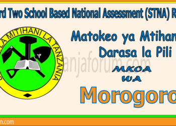 Matokeo ya Darasa la Pili (STNA) 2025 Morogoro