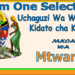 Form One Selection Mtwara